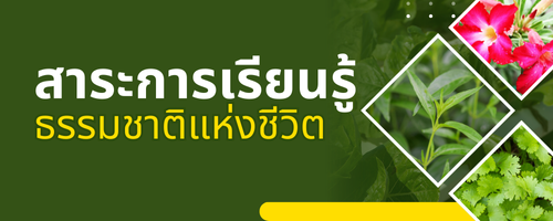 ธรรมชาติแห่งชีวิต"