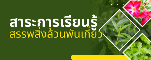 สรรพสิ่งล้วนพรรณเกี่ยว"