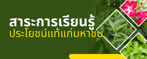 ประโยชน์แท้แก่มหาชน"