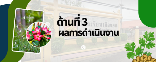 ผลการดำเนินงาน"
