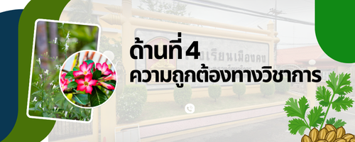  ความถูกต้องทางวิชาการ"
