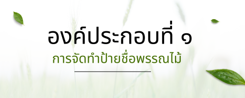 การจัดทำป้ายชื่อพรรณไม้"