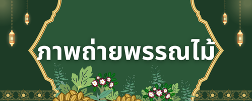 ภาพถ่ายพรรณไม้"